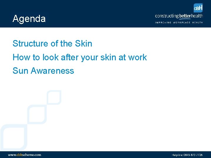 Agenda Structure of the Skin How to look after your skin at work Sun