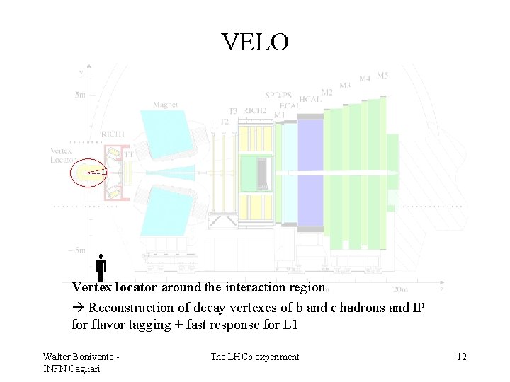 VELO Vertex locator around the interaction region Reconstruction of decay vertexes of b and