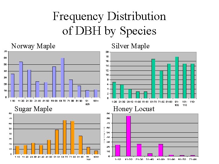 Frequency Distribution of DBH by Species Norway Maple Sugar Maple Silver Maple Honey Locust