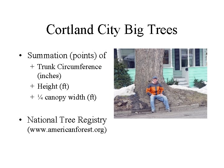 Cortland City Big Trees • Summation (points) of + Trunk Circumference (inches) + Height