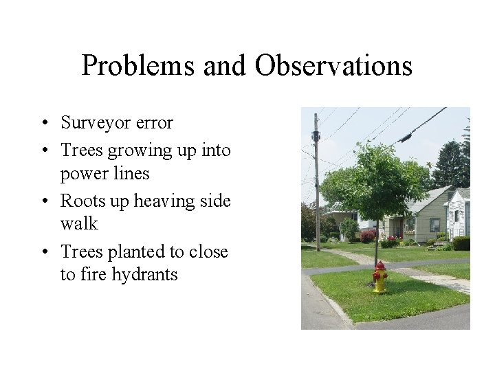 Problems and Observations • Surveyor error • Trees growing up into power lines •