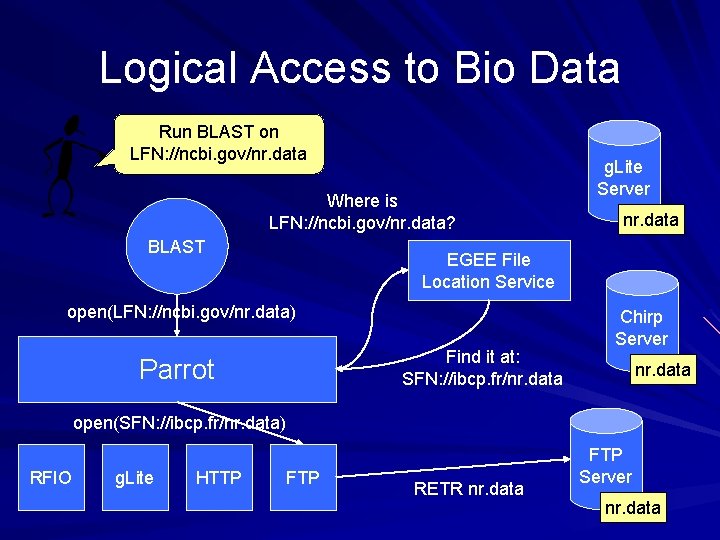Logical Access to Bio Data Run BLAST on LFN: //ncbi. gov/nr. data Where is Logical Access to Bio Data Run BLAST on LFN: //ncbi. gov/nr. data Where is