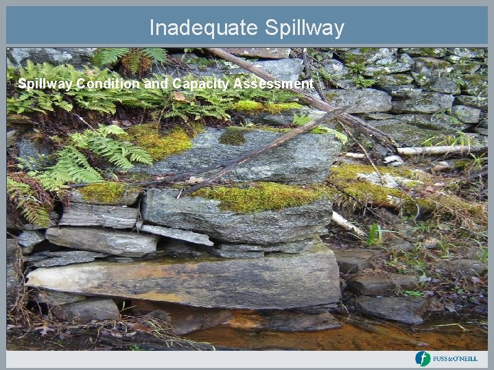 Inadequate Spillway Condition and Capacity Assessment 