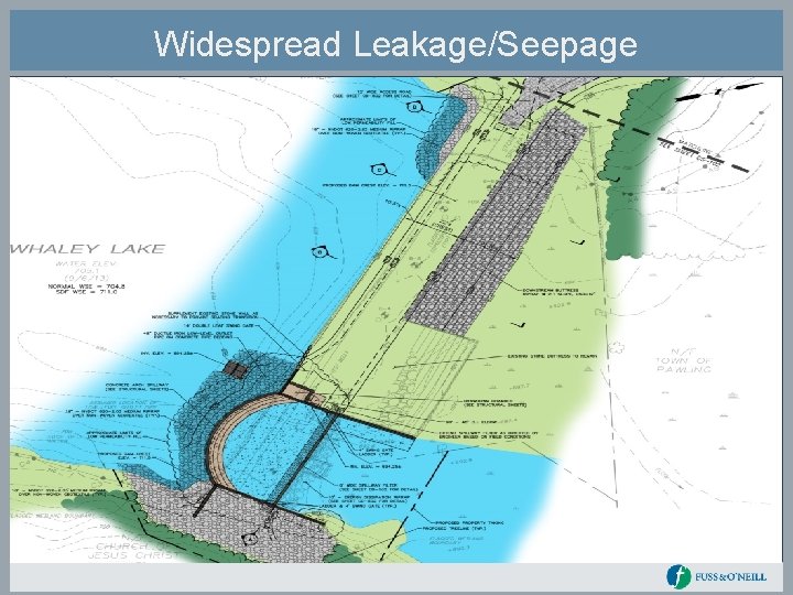 Widespread Leakage/Seepage Substantial Seepage 