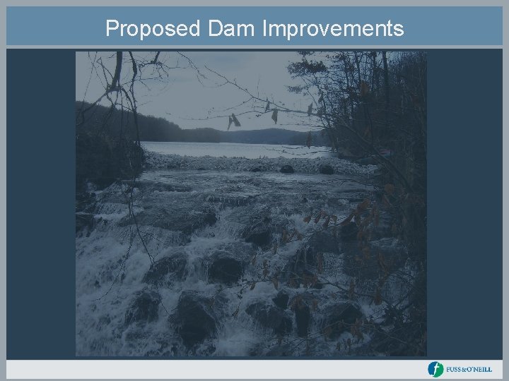 Proposed Dam Improvements 