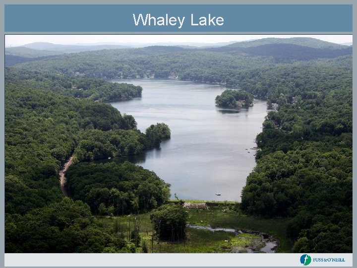 Whaley Lake 