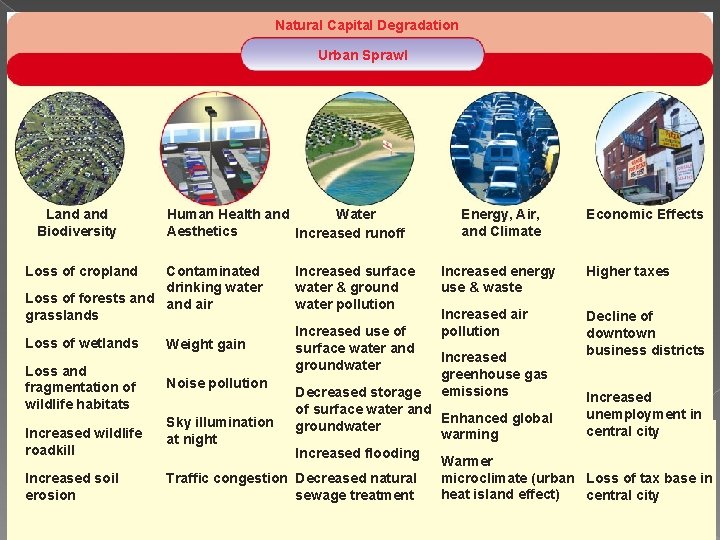 Natural Capital Degradation Urban Sprawl Land Biodiversity Human Health and Water Aesthetics Increased runoff