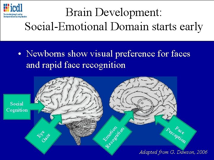 Brain Development: Social-Emotional Domain starts early • Newborns show visual preference for faces and