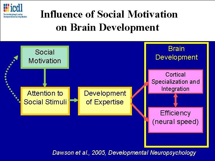 Influence of Social Motivation on Brain Development Social Motivation Attention to Social Stimuli Development