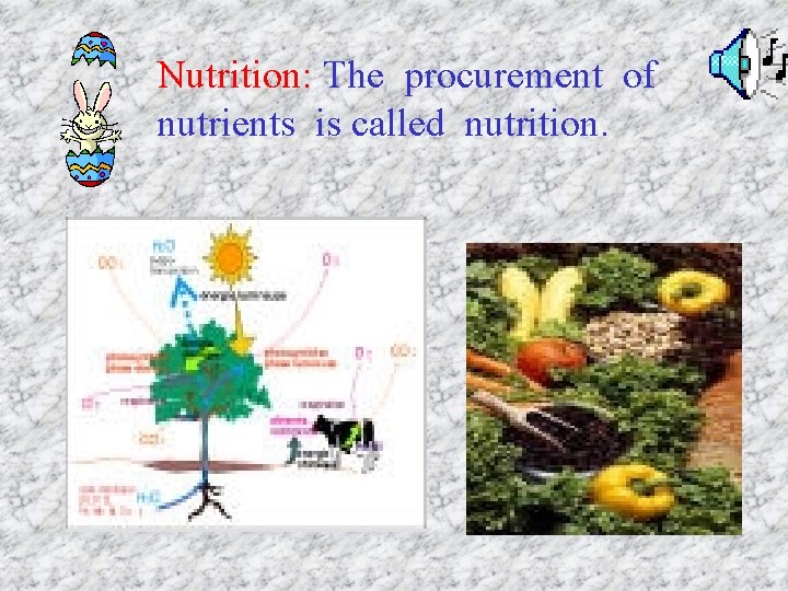 Nutrition: The procurement of nutrients is called nutrition. 