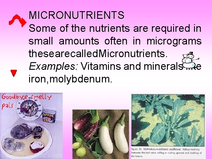 MICRONUTRIENTS Some of the nutrients are required in small amounts often in micrograms thesearecalled.