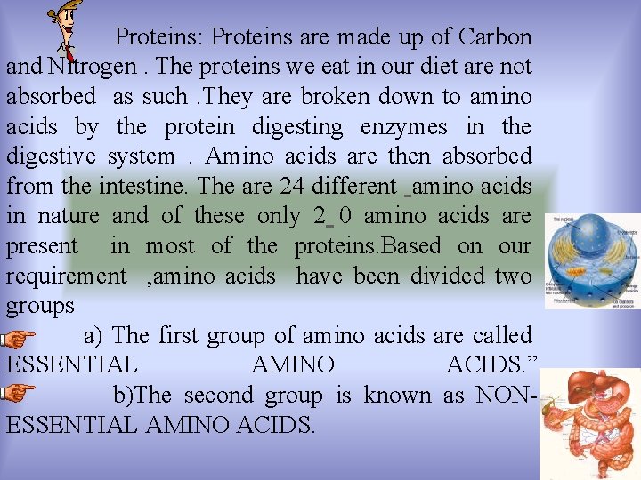 Proteins: Proteins are made up of Carbon and Nitrogen. The proteins we eat in