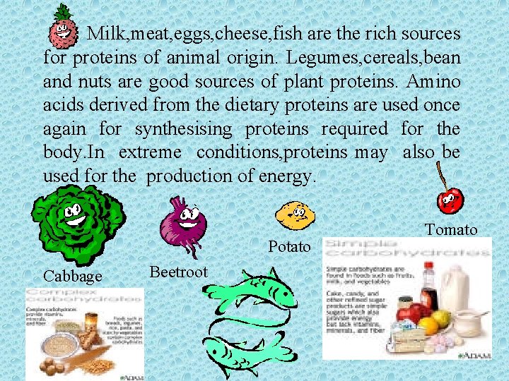 Milk, meat, eggs, cheese, fish are the rich sources for proteins of animal origin.