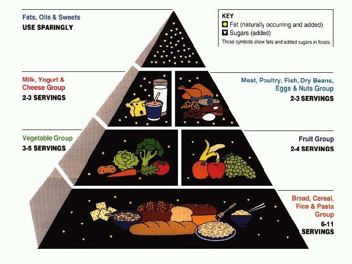 The Food Guide Pyramid The Key to a Balanced Diet! 