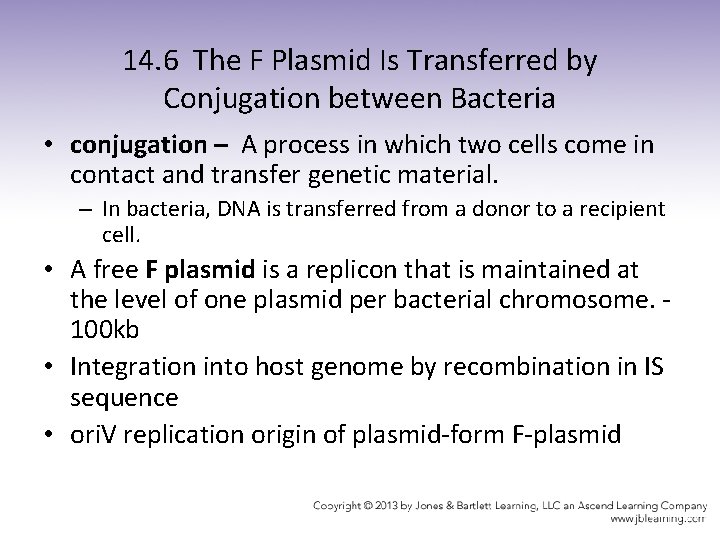 14. 6 The F Plasmid Is Transferred by Conjugation between Bacteria • conjugation –