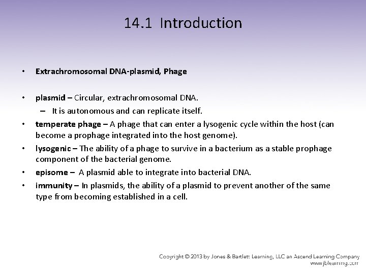 14. 1 Introduction • Extrachromosomal DNA-plasmid, Phage • plasmid – Circular, extrachromosomal DNA. –