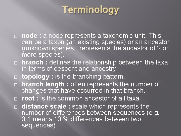 Terminology � � � node : a node represents a taxonomic unit. This can