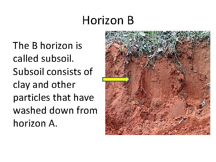 Horizon B The B horizon is called subsoil. Subsoil consists of clay and other