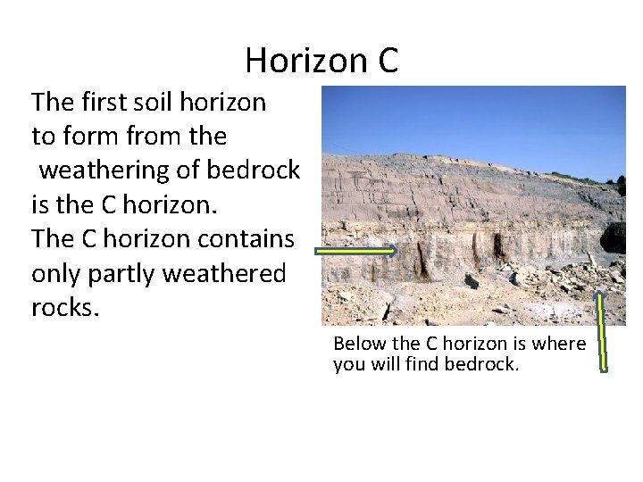 Horizon C The first soil horizon to form from the weathering of bedrock is