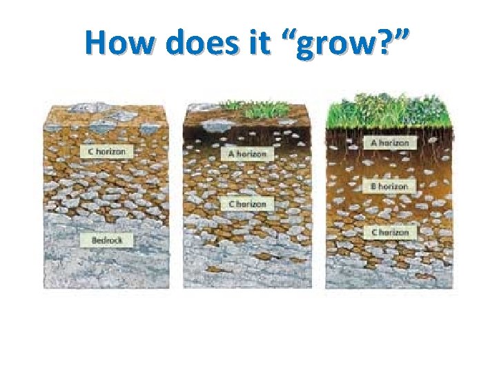 How does it “grow? ” 