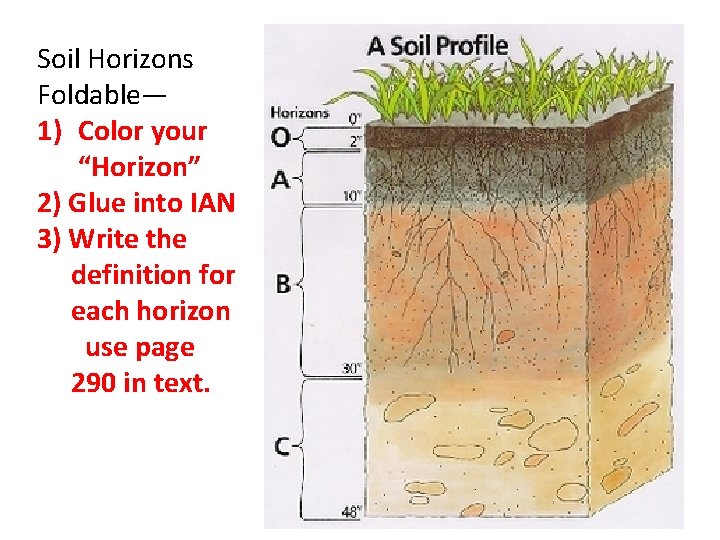 Soil Horizons Foldable— 1) Color your “Horizon” 2) Glue into IAN 3) Write the