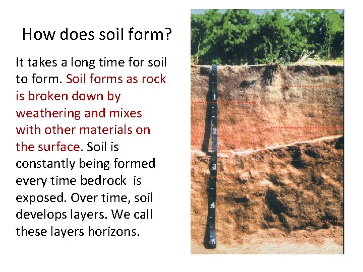 How does soil form? It takes a long time for soil to form. Soil