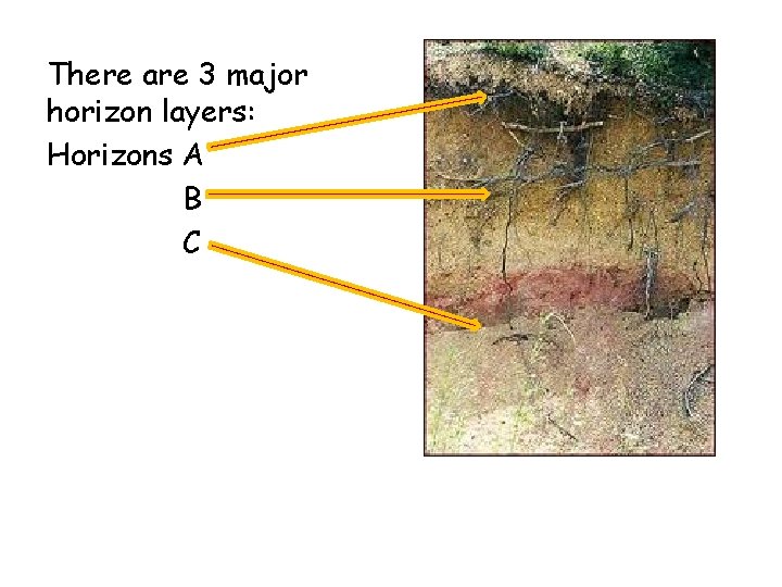 There are 3 major horizon layers: Horizons A B C 