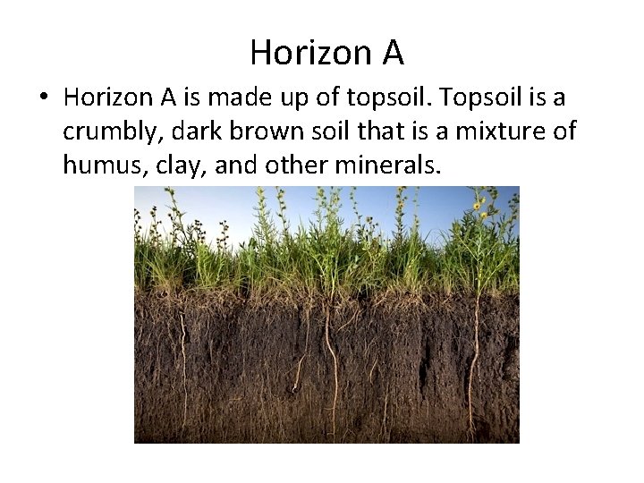 Horizon A • Horizon A is made up of topsoil. Topsoil is a crumbly,