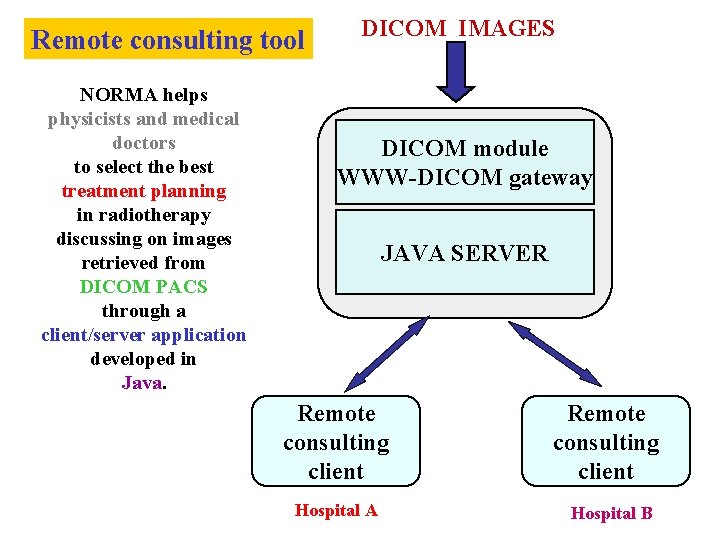 Remote consulting tool NORMA helps physicists and medical doctors to select the best treatment