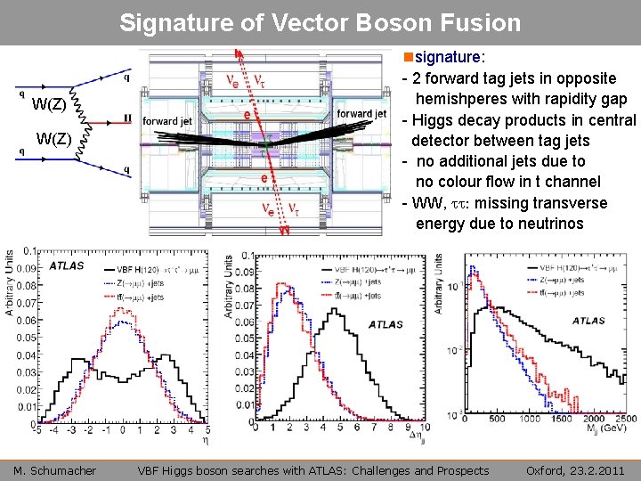 Signature of Vector Boson Fusion W(Z) M. Schumacher nsignature: - 2 forward tag jets