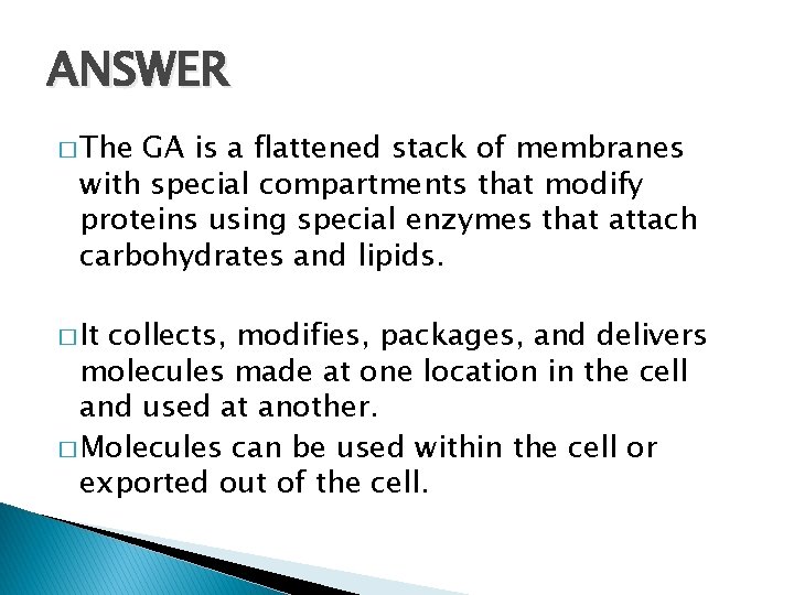 ANSWER � The GA is a flattened stack of membranes with special compartments that