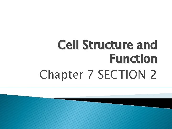 Cell Structure and Function Chapter 7 SECTION 2 