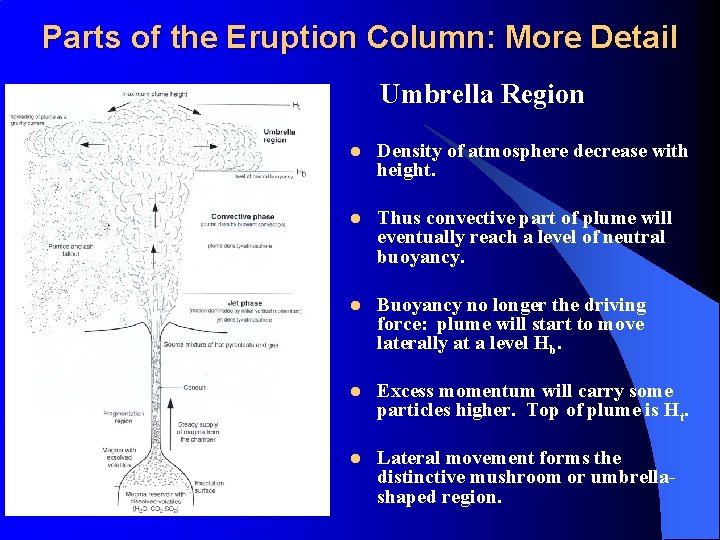 Parts of the Eruption Column: More Detail Umbrella Region l Density of atmosphere decrease