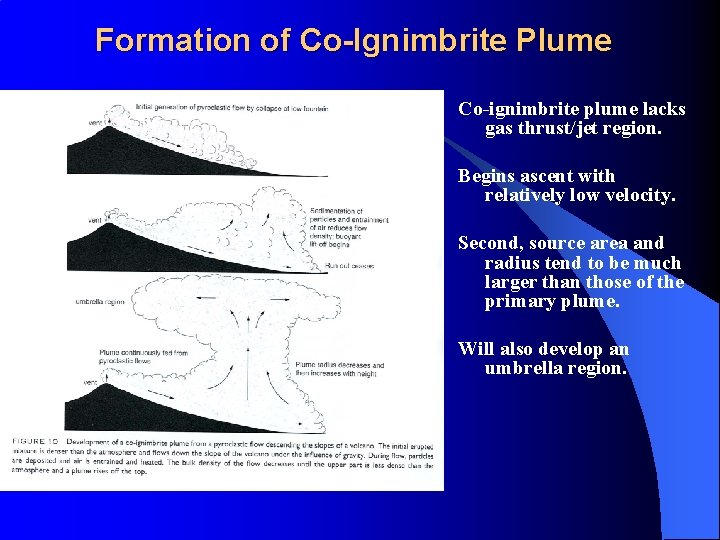 Formation of Co-Ignimbrite Plume Co-ignimbrite plume lacks gas thrust/jet region. Begins ascent with relatively