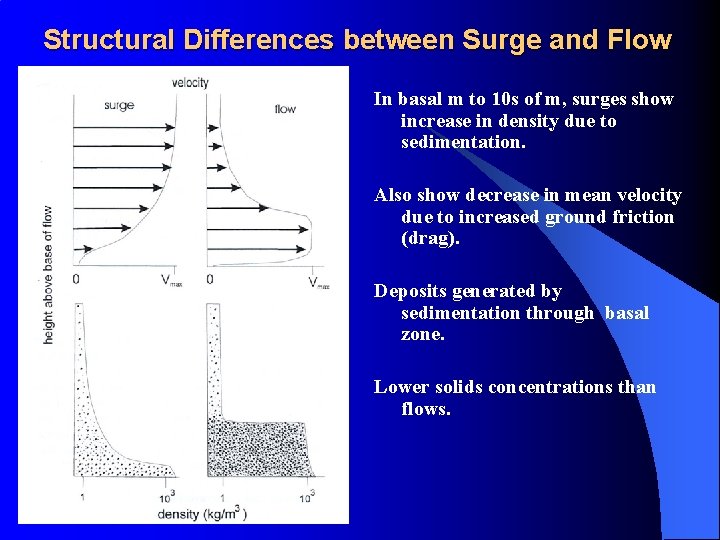 Structural Differences between Surge and Flow In basal m to 10 s of m,