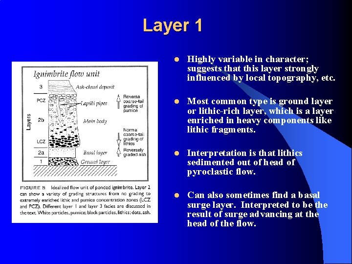 Layer 1 l Highly variable in character; suggests that this layer strongly influenced by