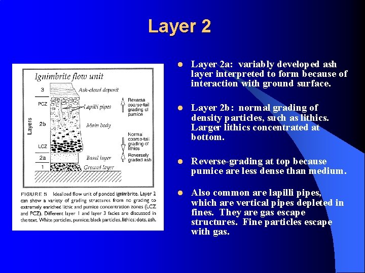 Layer 2 l Layer 2 a: variably developed ash layer interpreted to form because