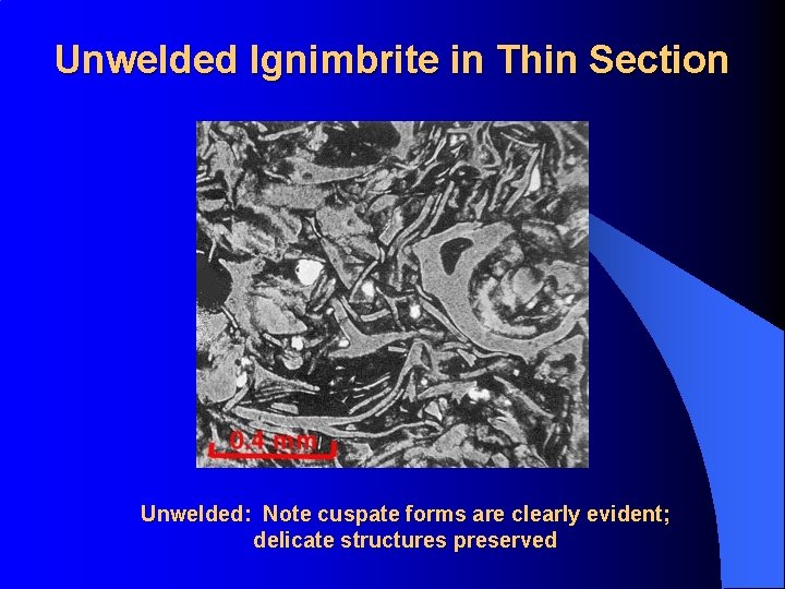 Unwelded Ignimbrite in Thin Section Unwelded: Note cuspate forms are clearly evident; delicate structures