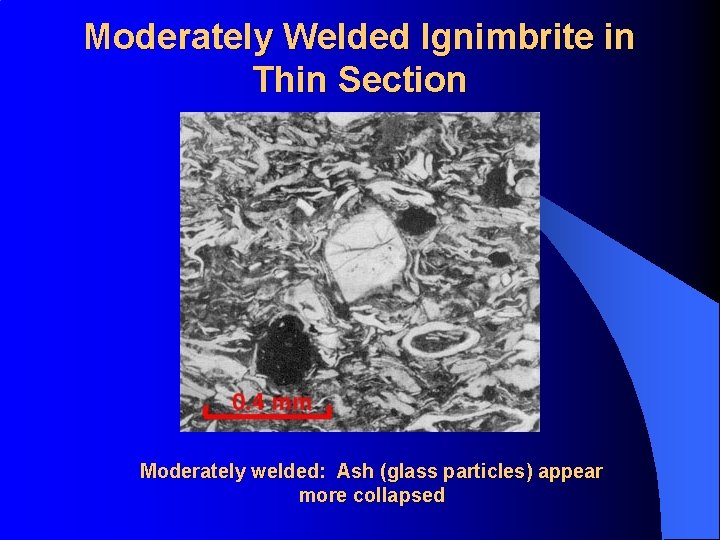 Moderately Welded Ignimbrite in Thin Section Moderately welded: Ash (glass particles) appear more collapsed