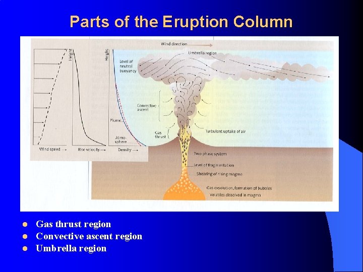 Parts of the Eruption Column l l l Gas thrust region Convective ascent region