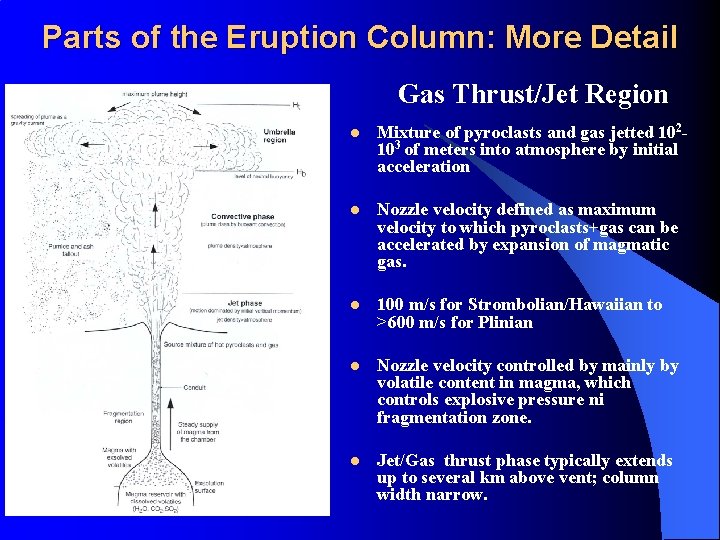 Parts of the Eruption Column: More Detail Gas Thrust/Jet Region l Mixture of pyroclasts