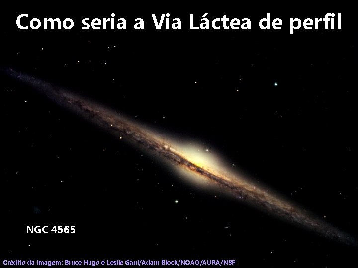 Como seria a Via Láctea de perfil NGC 4565 Crédito da imagem: Bruce Hugo