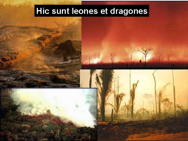 Hic sunt leones et dragones fonte: Carlos Nobre 