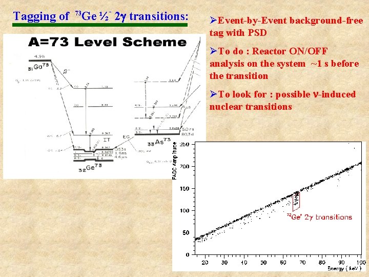 Tagging of 73 - Ge ½ 2 g transitions: ØEvent-by-Event background-free tag with PSD