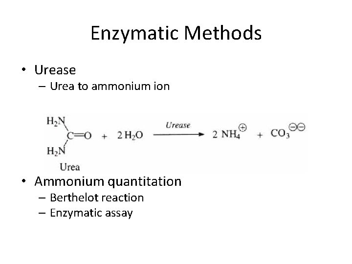 Enzymatic Methods • Urease – Urea to ammonium ion • Ammonium quantitation – Berthelot