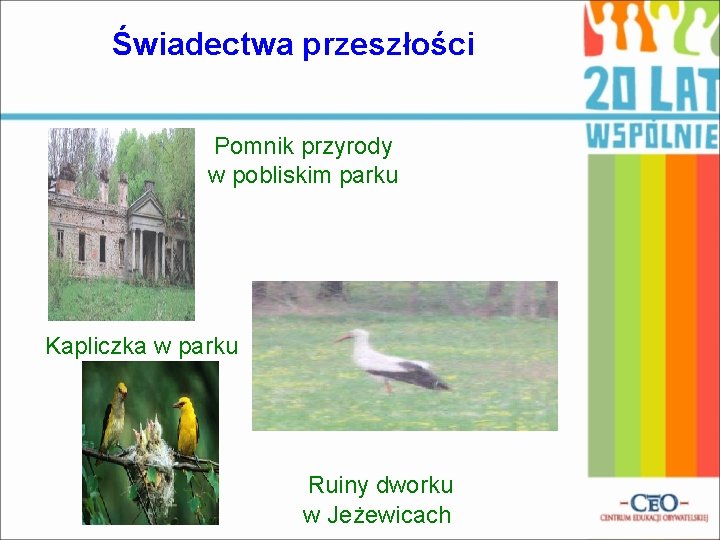 Świadectwa przeszłości Pomnik przyrody w pobliskim parku Kapliczka w parku Ruiny dworku w Jeżewicach