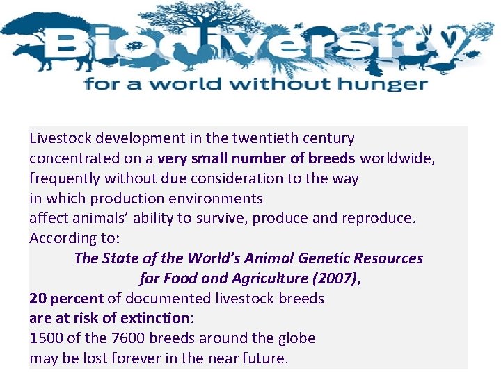 Livestock development in the twentieth century concentrated on a very small number of breeds