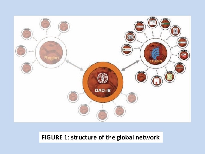 FIGURE 1: structure of the global network 