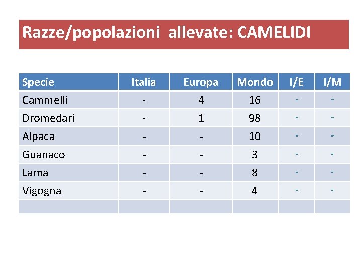 Razze/popolazioni allevate: CAMELIDI Specie Cammelli Dromedari Alpaca Guanaco Lama Vigogna Italia - Europa 4