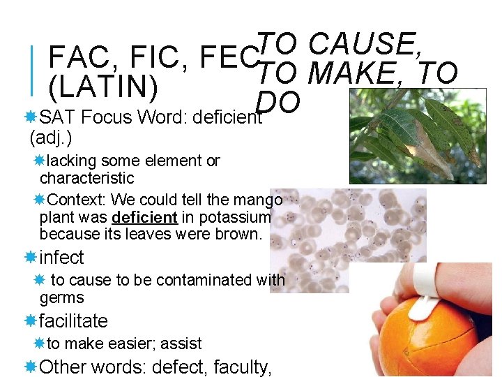 TO CAUSE, FAC, FIC, FEC TO MAKE, TO (LATIN) DO SAT Focus Word: deficient